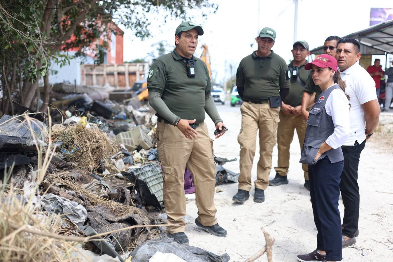 uploads/6/32/01 (1708).Jpeg